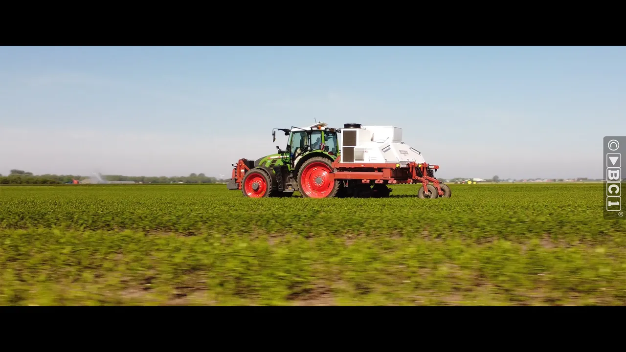 The future of bulb growing, sustainable and innovative